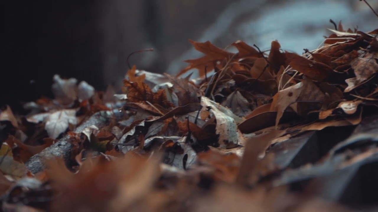 Some Experiences of an Irish R M Books In English