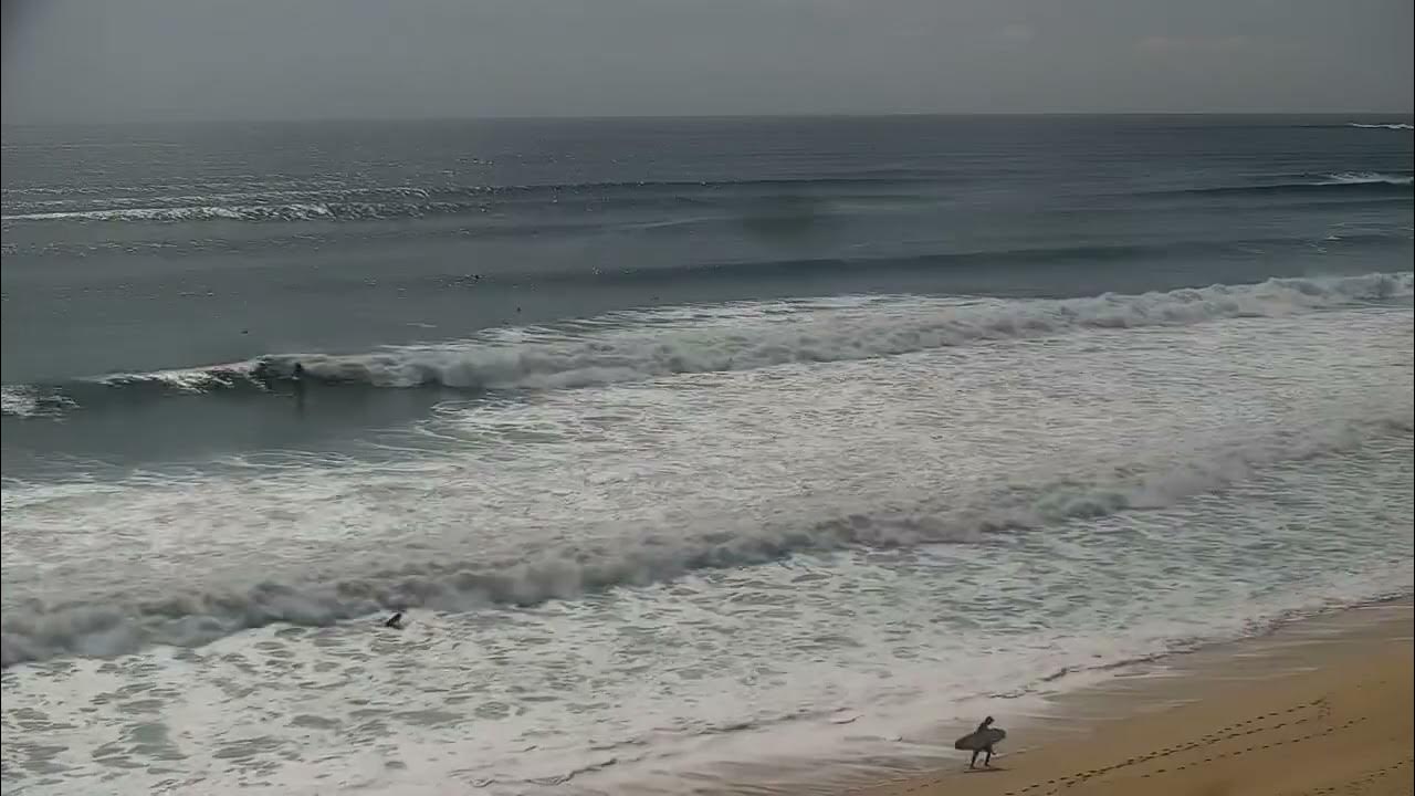 Cabo’s zippers beach Oct/2023 9 YouTube