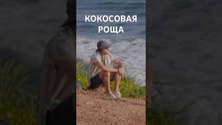 КОКОСОВАЯ РОЩА в Мириссе. Стоит ли смотреть Coconut tree hill?