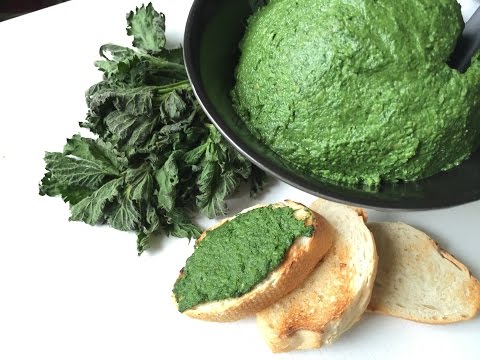 Nettles recipe