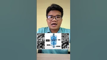 Kính hiển vi điện tử quét SEM là gì? @mrthuongsemtem