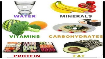DAV , Class 4 , Science,  Lesson- 7 Food