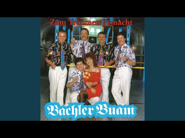 Bachler Buam - Träume und Mondschein