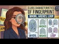 Class Characteristics Of Fingerprint - Loops, Arches, Whorls | Forensic Educator |