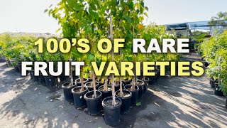 Incredible NURSERY TOUR in San Diego with a Huge selection of Edible Fruit