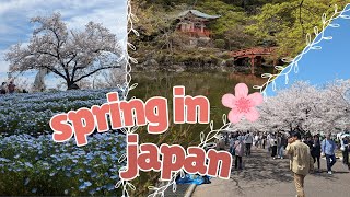 spring in japan ~ cherry blossoms, tulip gardens, farm houses, waterfalls & good vibes