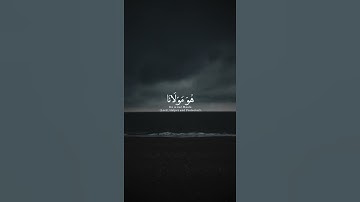سورة التوبة الآية (٥١ )