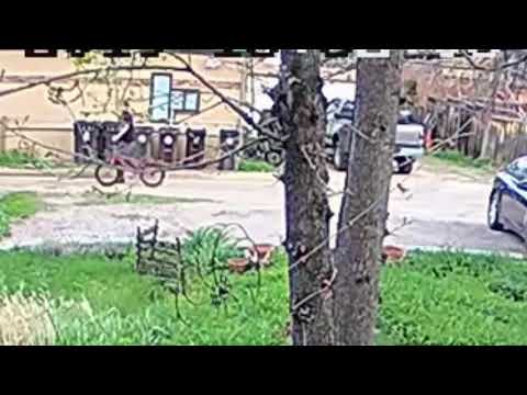 Garden Surveillance Video