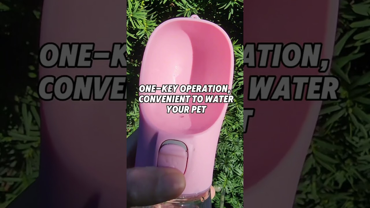 Leakproof Portable Water Bottle for Dogs & Cats 