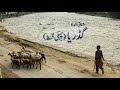 Gadariya (گڈریا) by Ashfaq Ahmed | Episode 1