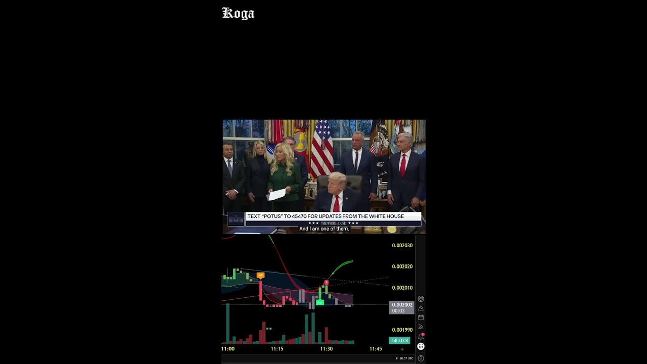 TRUMP AND $ZBCN (Portrait)