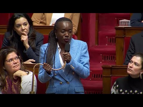 AESH  le cynisme du Ministre de lEducation face  la dpute insoumise Nadge Abomangoli