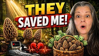 Get Everything You Need From Nature #mushroom