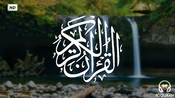 قرآن كريم بصوت هيثم الدخين | حالات واتس اب دينية