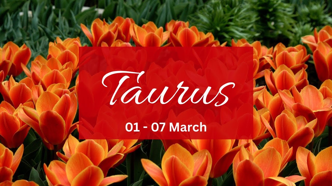 Taurus❤️The one u went above&beyond for yet got betrayed..this is why they r desperate for u!