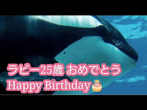 ラビー25歳おめでとう🎂/鴨川シーワールドの愛が詰まった奇跡