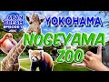 Best FREE ZOO in JAPAN!