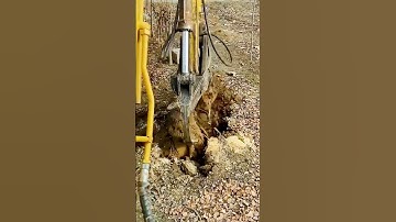 sophisticated machine for removing the roots of felled trees #shorts