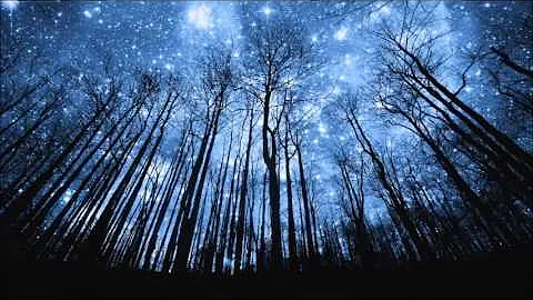 Jan Garbarek   We are the stars