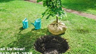 Four Season Trees - Tree Removal Service in Skokie IL - (847) 447-2838 by Four Seasons Trees