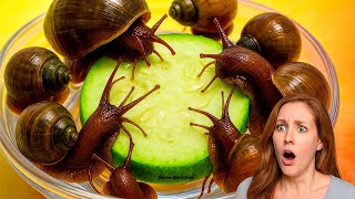 Golden Apple Snail Eating Gourd Slice – 12 Hour Time Lapse in 3 Minutes
