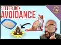 Why Your Cat Poops Outside the Box!