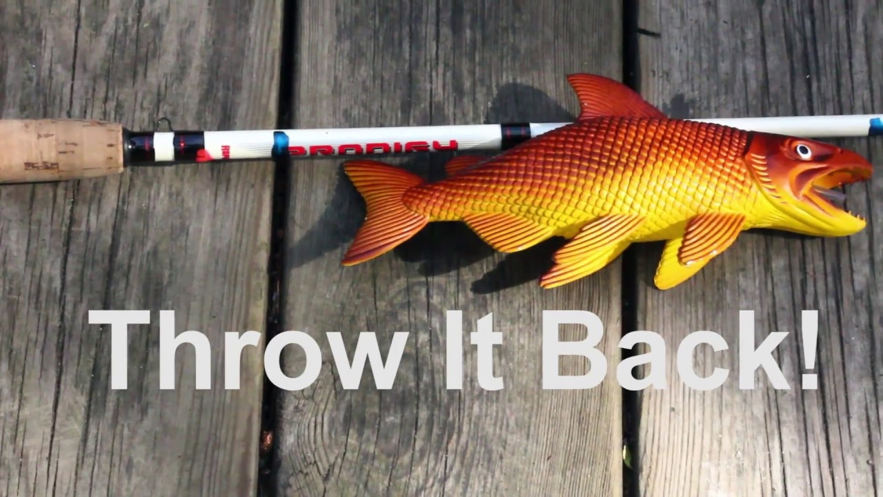 Howto Use A Nail Polish Marked Fishing Rod To Measure Fish Tutorial