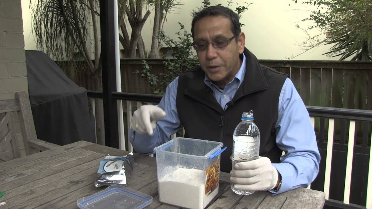 Agenda Termite Baiting System Training Part 3