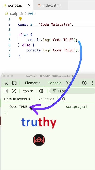 Truthy Falsy | Javascript | #javascriptcode #malayalam #programming ...