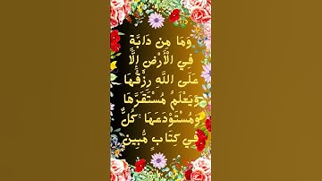 #_سورة هود الآية 6 من المصحف الشريف        💐💐💐