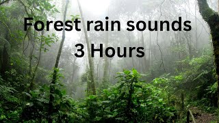 Forest Creek Sounds   3 Hours   Sleep, Relax, Focus or Meditation