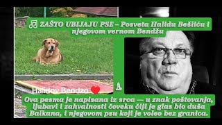 Download Lagu 🎵 ZAŠTO UBIJAJU PSE – Posveta Halidu Bešliću i njegovom vernom Bendžu 🕯️ MP3