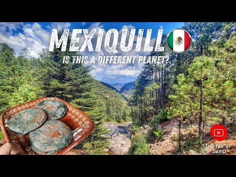 MEXIQUILLO, Durango | What PLANET is THIS!? | GORDITAS Hecho en CASA! | MEXICO TRAVEL 2021! ??
