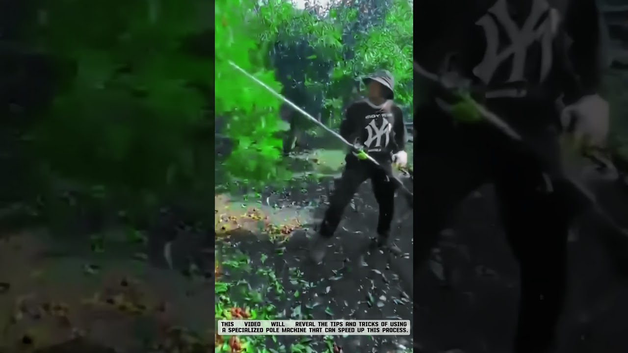 High-Pressure Water Spray Technology for Pest Control 