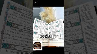 Dieu se vengera #RappelAvecRazak #RappelIslamique #InspirationQuotidienne #ViralVideos