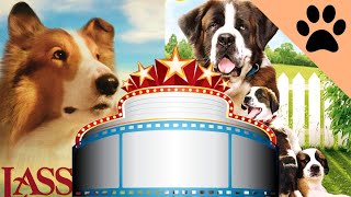 Top 5 Most Famous Dogs - Lassie, Beethoven and more by Dog World 247 views 3 months ago 7 minutes, 20 seconds