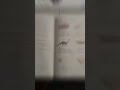 Matematyka Z Plusem Klasa 5 ćwiczenia Odpowiedzi Wersja A