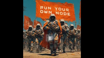 Run Your Own Node (Rude Boy Mix)