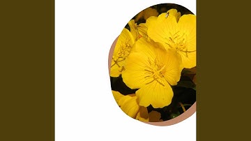 Quiet Backdrops for Recharging Routines