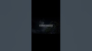 #القرآن_الكريم #سورة_الأنعام #محمد_ايوب #quran #قرآن #اكسبلور