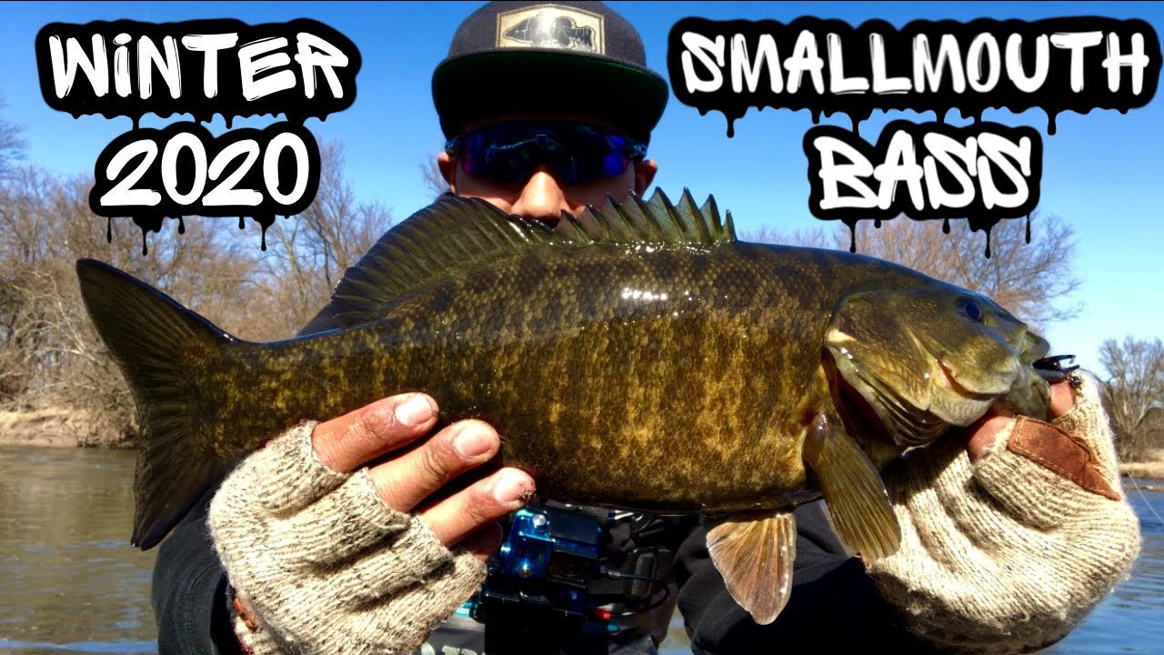Winter Smallmouth Bass fishing in Illinois 