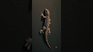 🤯 How to "HACK" a Lizard's Biology! 🦎🧬 (Genius Life Hack)