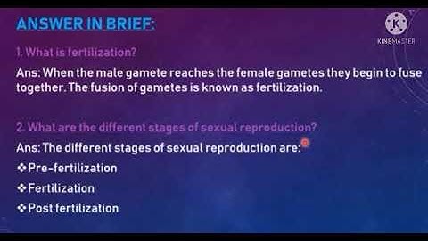 5th  science term 3unit 2 Animals  Book back  Answers