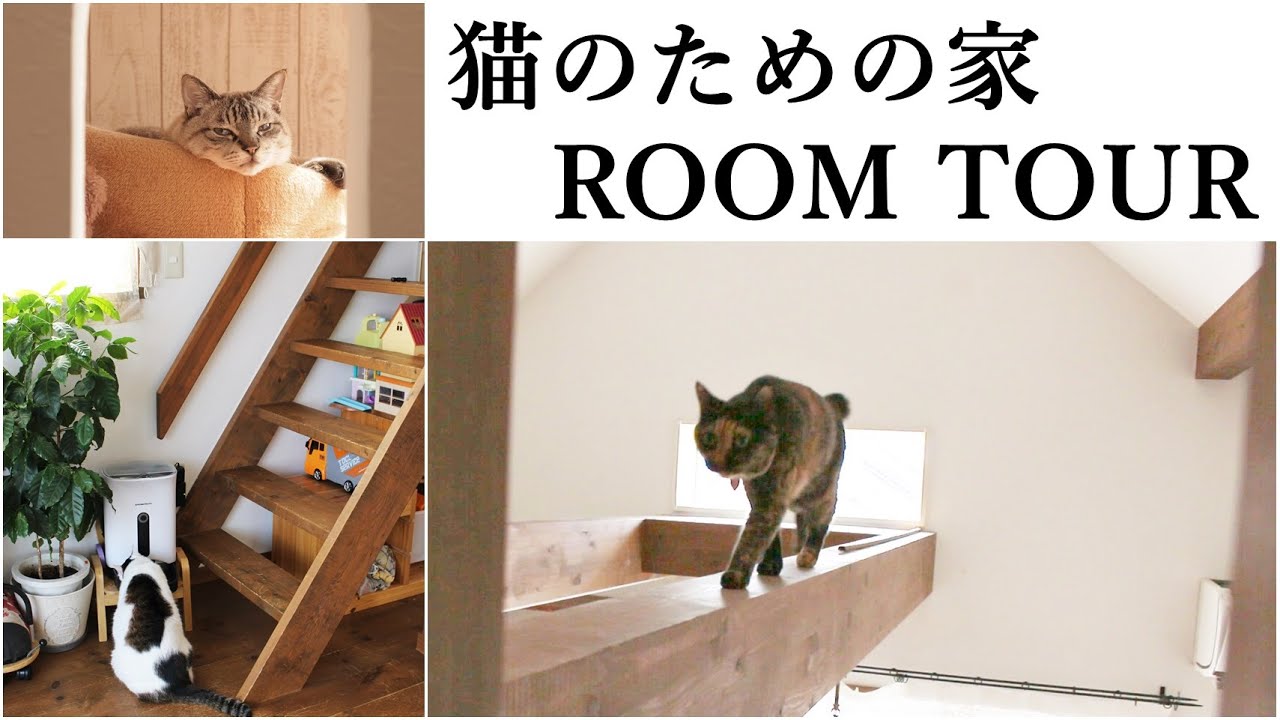 猫のための家ルームツアー|小さいお家で工夫して楽しく暮らしています。|Room tour of