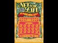 $10 SET FOR LIFE - WIN!  Lottery Bengal cat Scratch Off NYS instant win tickets WIN!