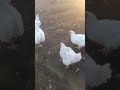 Пора спать ...