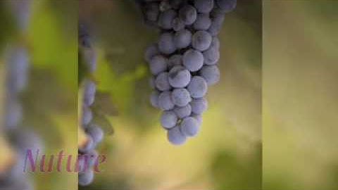 Third Sunday of Lent: Catholic Digest