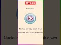 Mitosis cell division I stages of mitosis I  #shortsvideo #youtubeshorts #mitosis