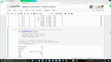 03python数据分析处理库-Pandas 课时19 Pandas自定义函数