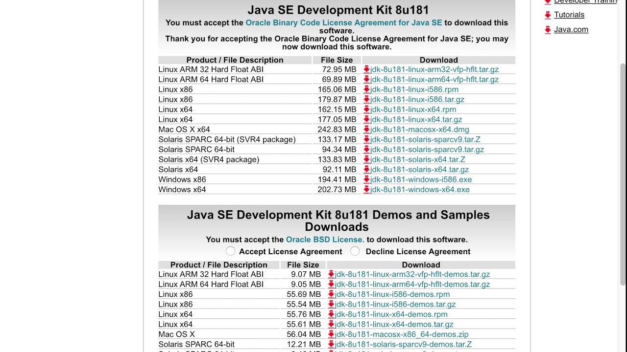 Джава последняя версия 64 бит. Java se Development Kit. Java 64. Java 8. JDK 1.8 Oracle.